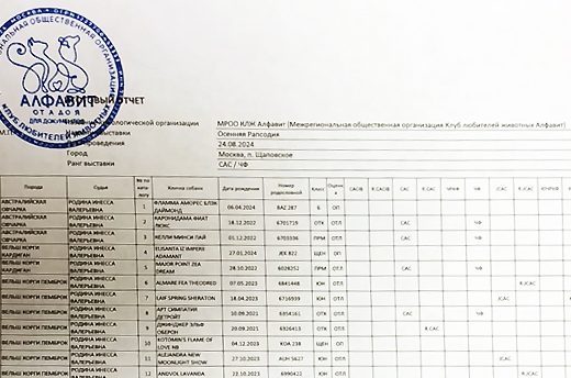 РЕЗУЛЬТАТЫ-НАЦИОНАЛЬНАЯ-ВЫСТАВКА-ВСЕХ-ПОРОД-РАНГА-CAC-Ч0ЕМПИОН-ФЕДЕРАЦИИ-Осенняя-Рапсодия.